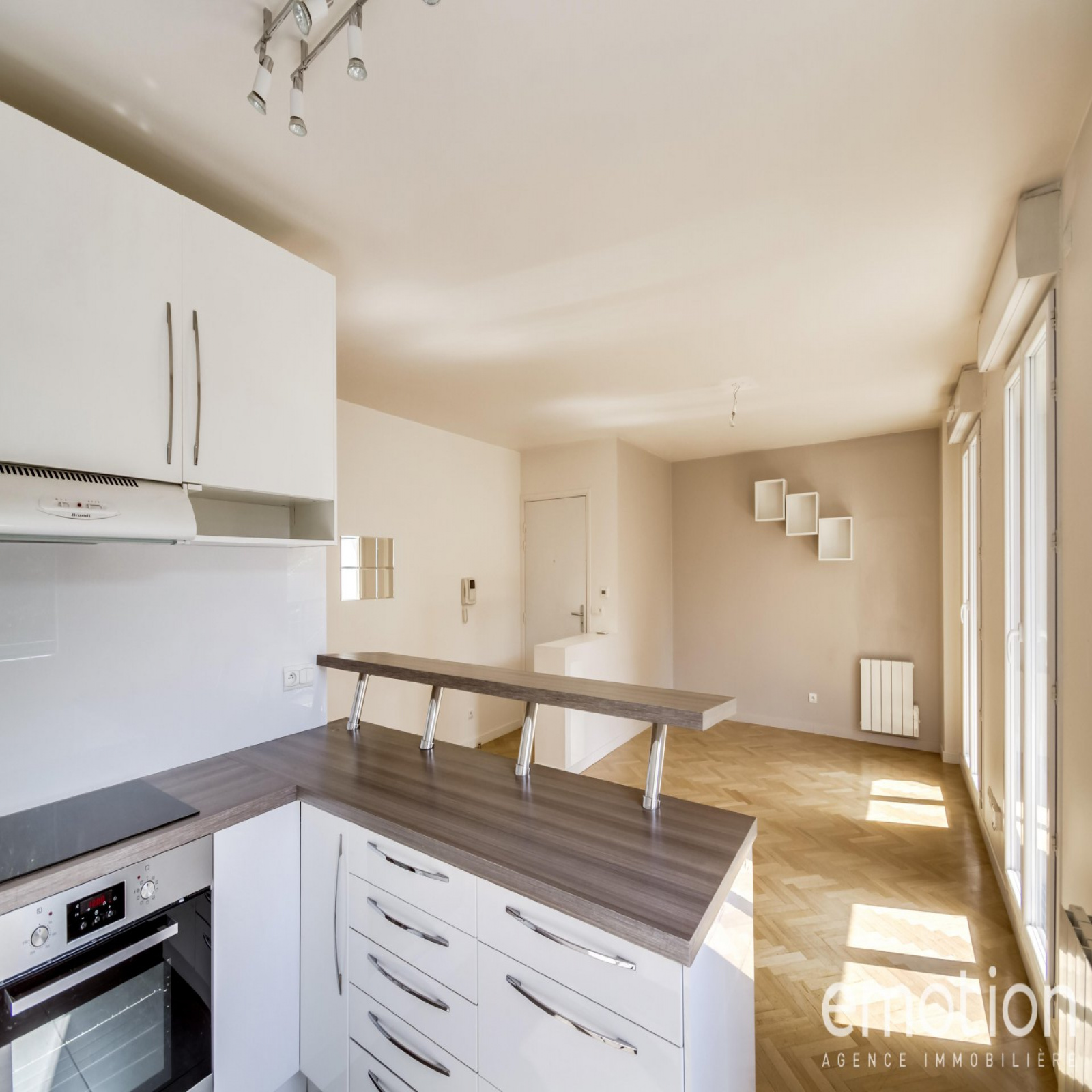 Image_4, Appartement, Nogent-sur-Marne, ref :663